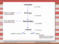 Syphilitic Miasm.pdf
